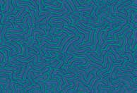 Confetti Sea World Otel/Kontrat/Proje Halısı