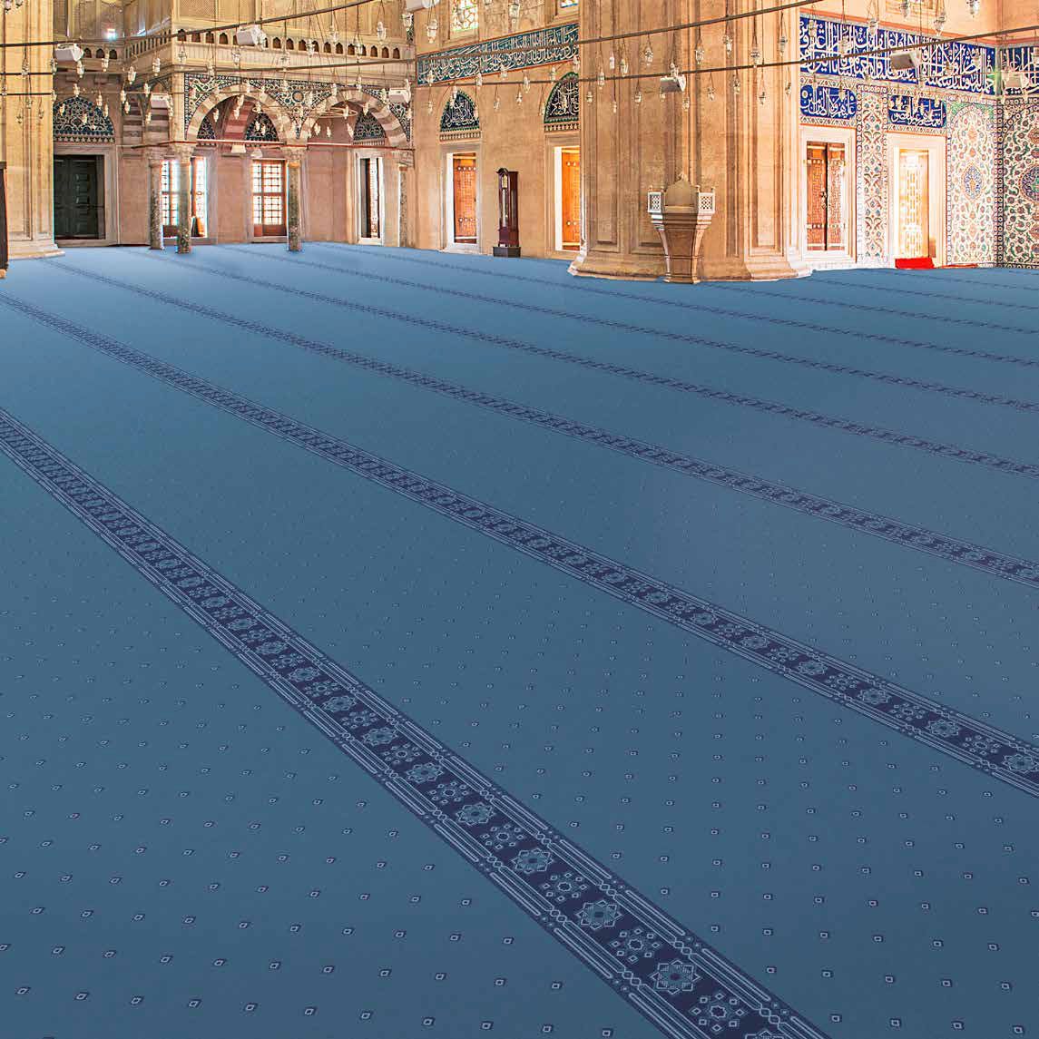 y_ld_z_safl_cami_hal_s_1__1_1_1_1_1